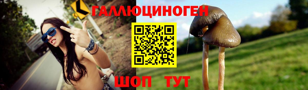 Ачинск  Галлюциногенные грибы Cubensis  Вход с VPN 